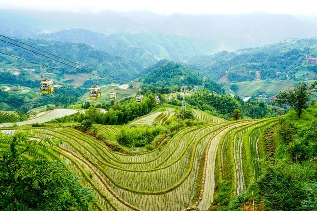 Guillinpaddy