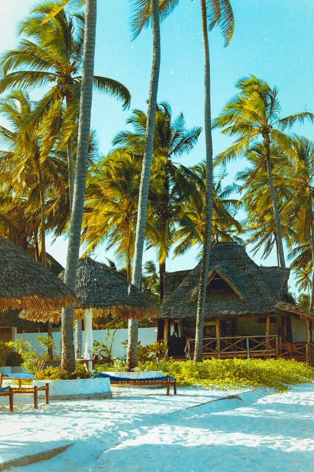 Kilimanjaro climb, Safari & Zanzibar