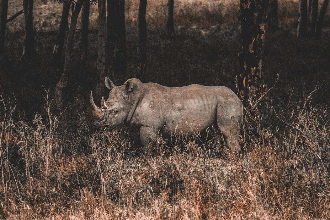 Lakenakurunationalpark
