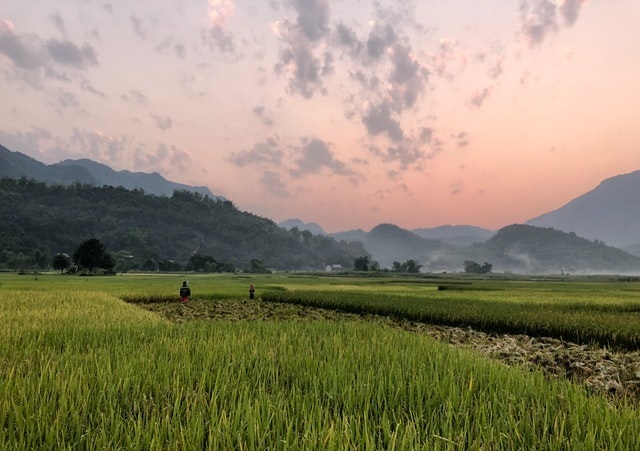 Vietnamtourday6
