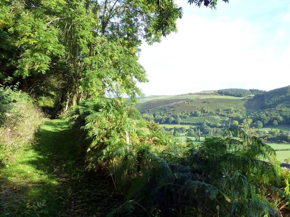 Wales5